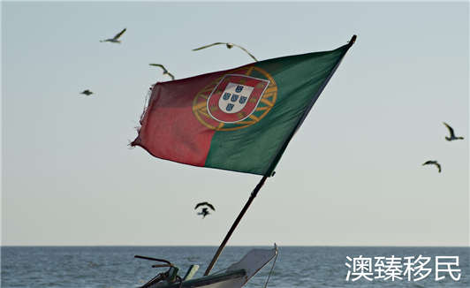 葡萄牙非盈利移民2019.jpg